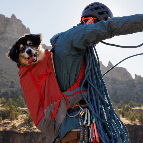 Hitch Hiker Dog Backpack Carrier