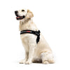 ⚡️ EzyDog Express Harness