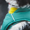 ⚡ Ruffwear Quinzee Dog Coat