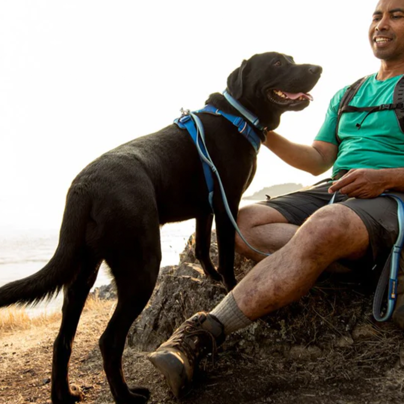 ⚡ Ruffwear Front Range Collar