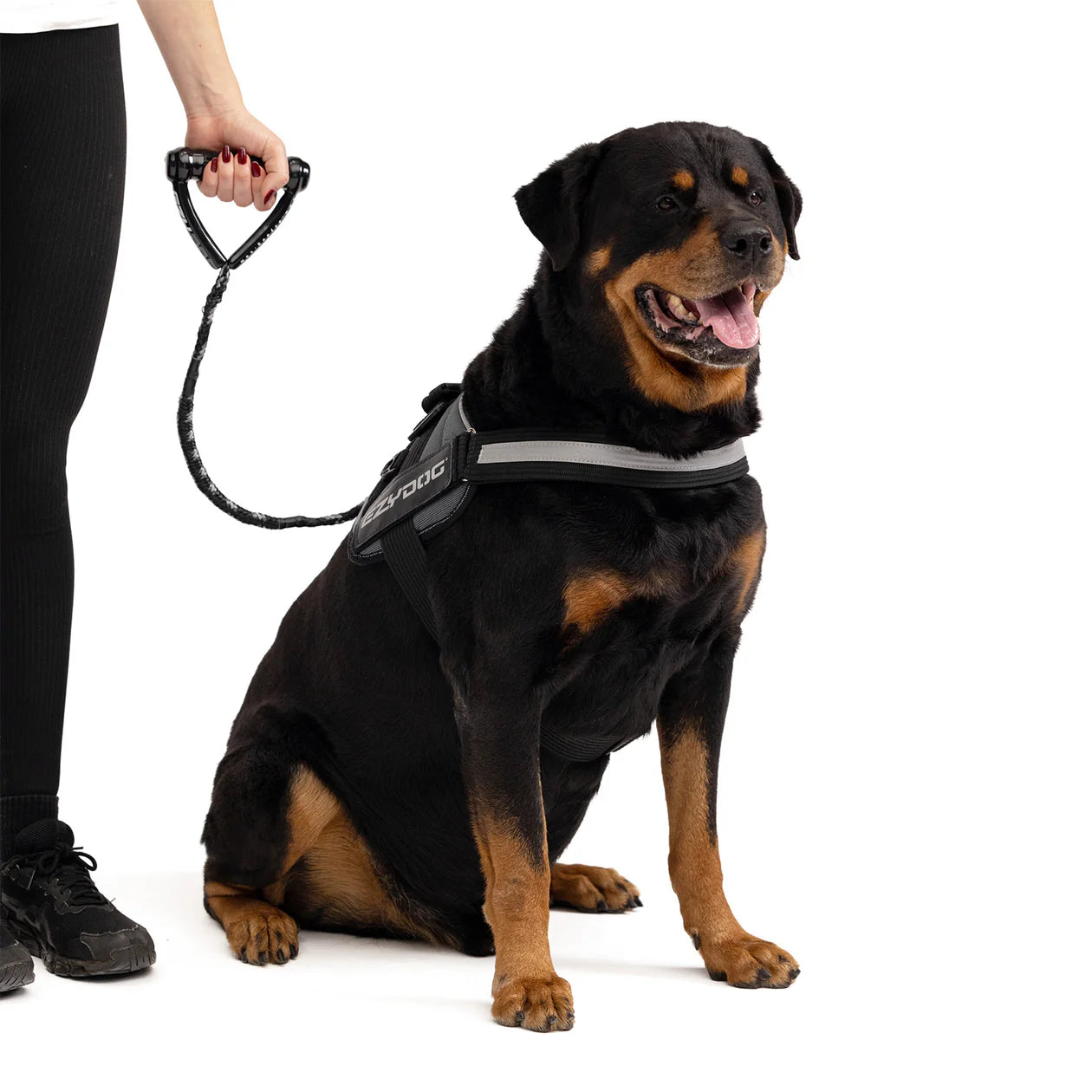 EzyDog Cujo Leash 40