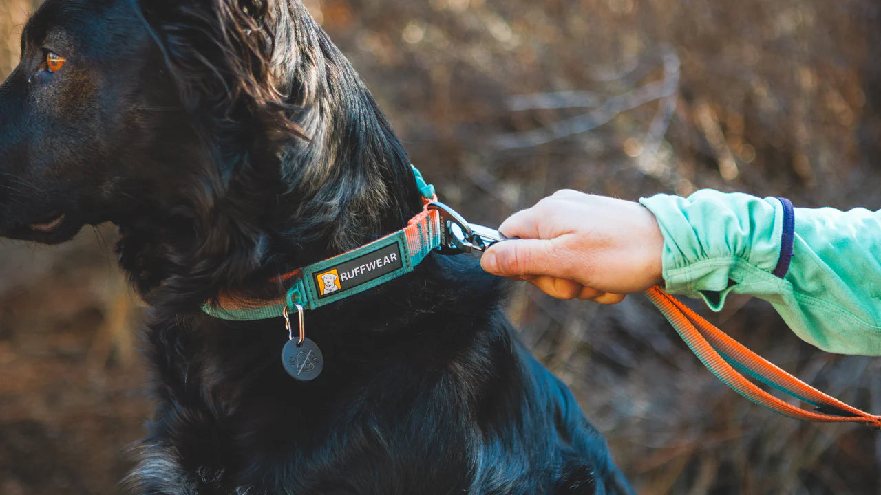 ⚡ Ruffwear Front Range Collar