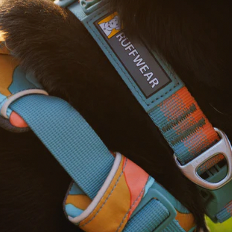 ⚡ Ruffwear Front Range Collar
