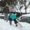 ⚡ Ruffwear Quinzee Dog Coat