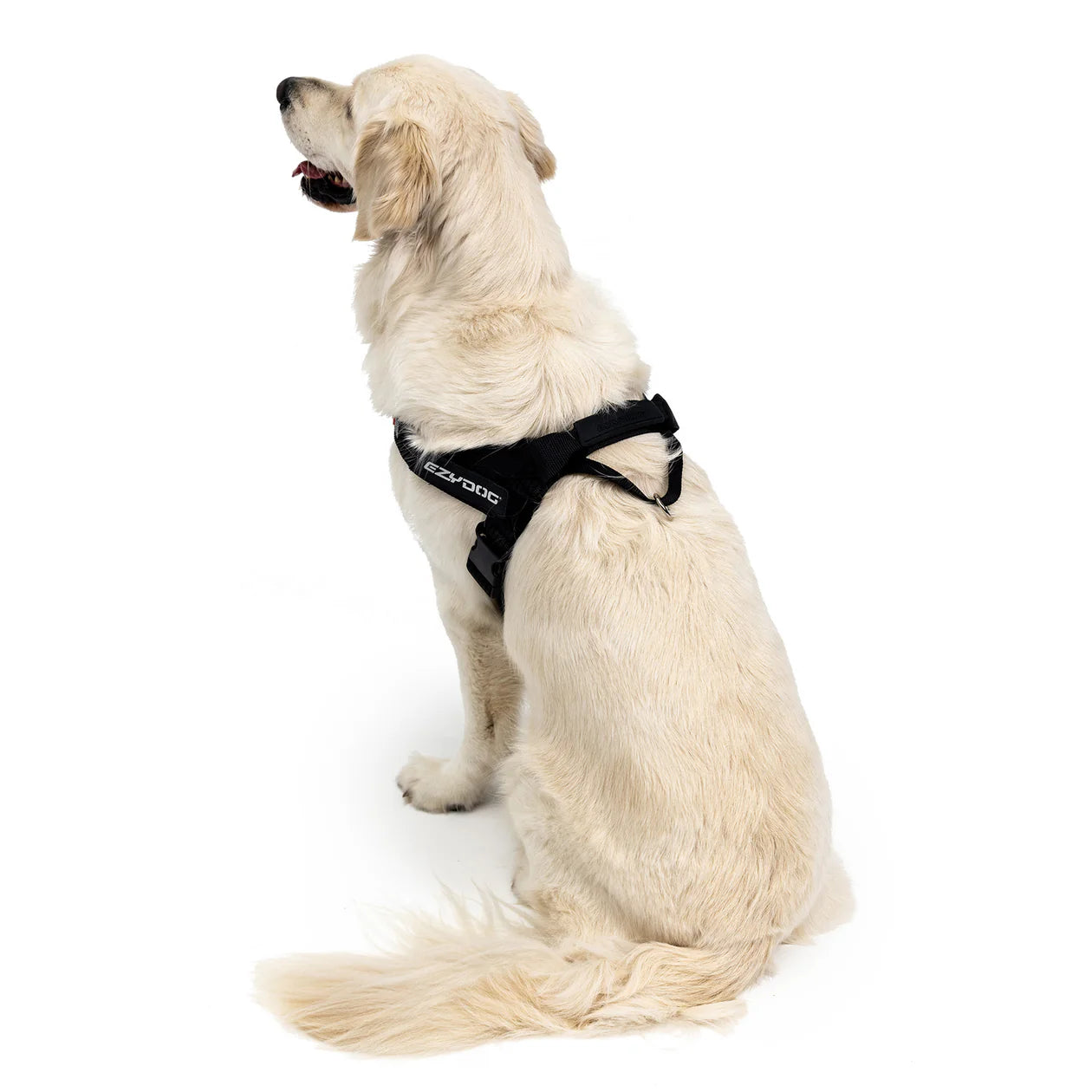 ⚡️ EzyDog Express Harness