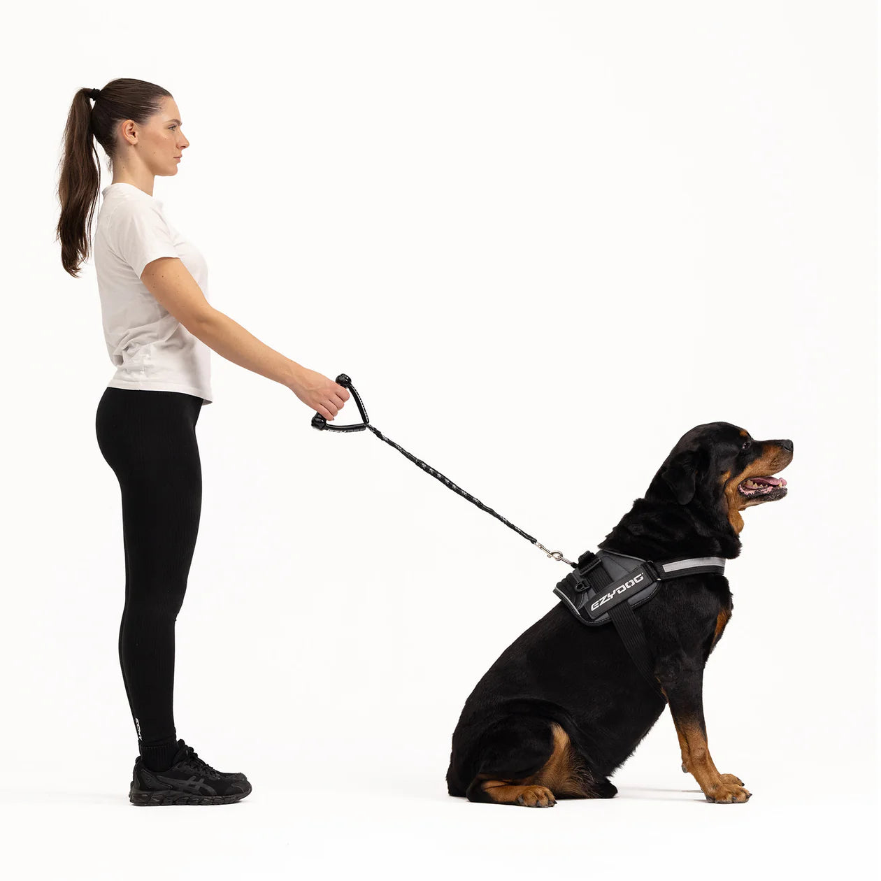 EzyDog Cujo Leash 40