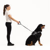 EzyDog Cujo Leash 40