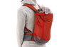 Hitch Hiker Dog Backpack Carrier