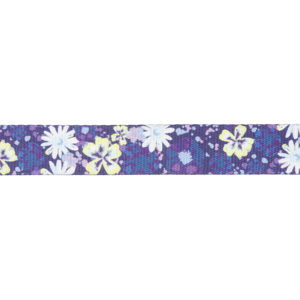 ⚡ Ruffwear Front Range Collar