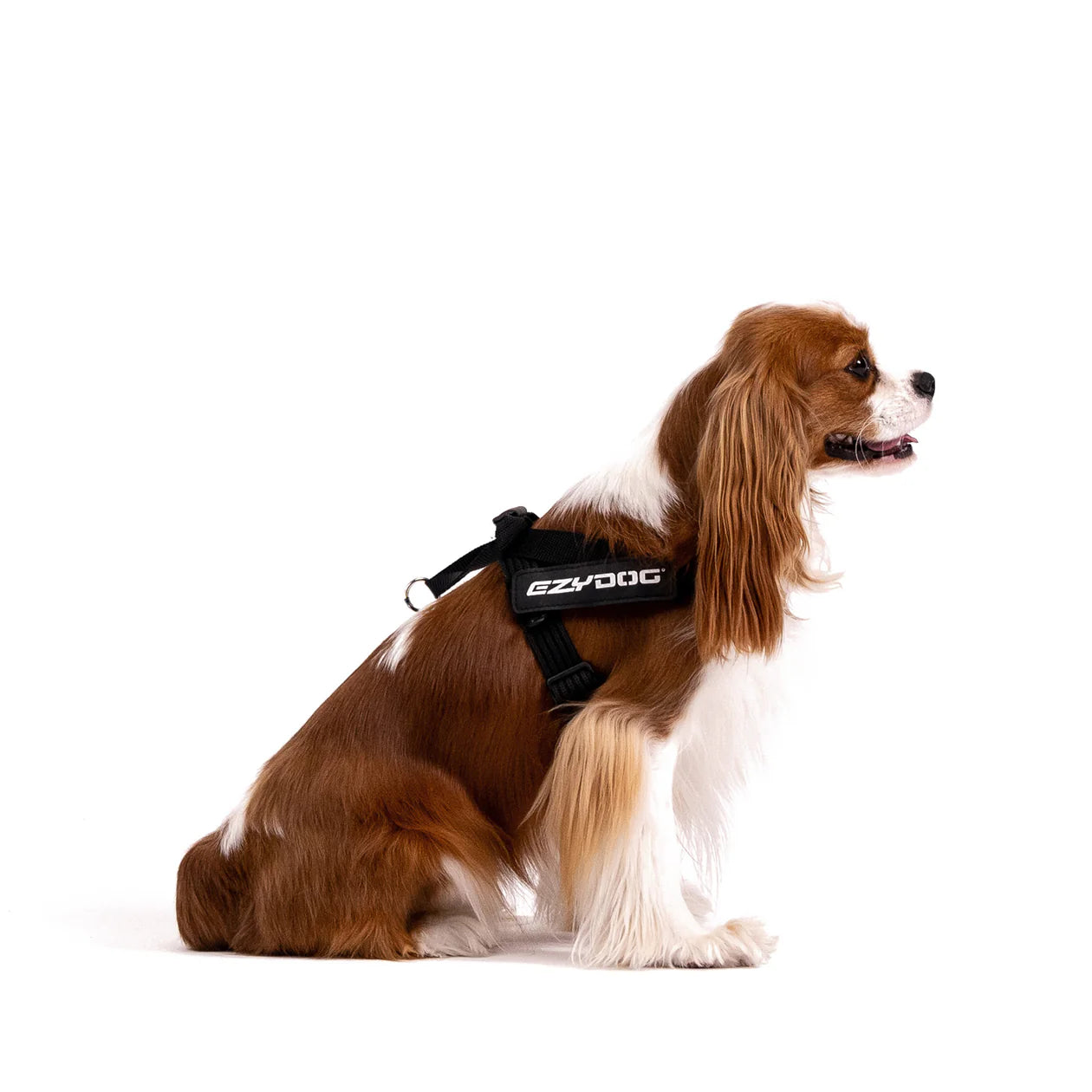 ⚡️ EzyDog Express Harness