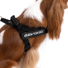 ⚡️ EzyDog Express Harness