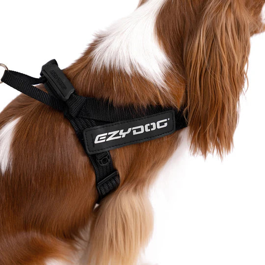 ⚡️ EzyDog Express Harness