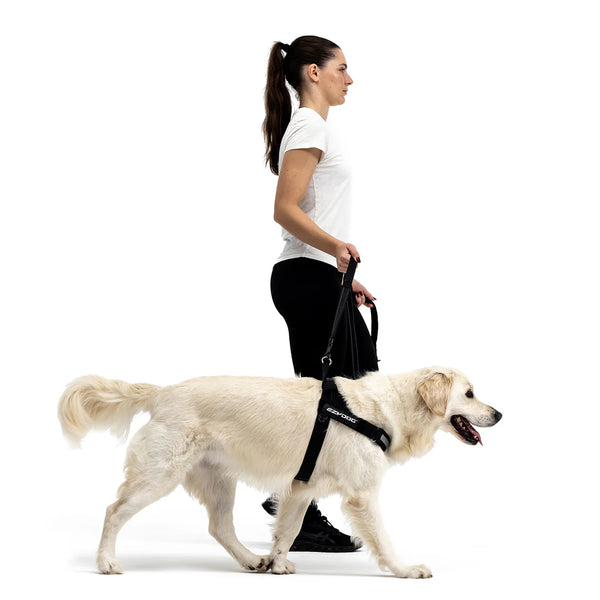 ⚡️ EzyDog Express Harness