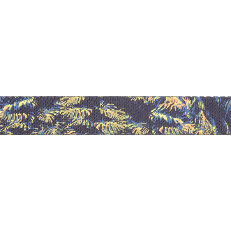 ⚡ Ruffwear Front Range Collar