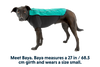 ⚡ Ruffwear Cloud Chaser Jacket