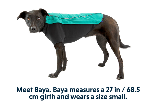 ⚡ Ruffwear Cloud Chaser Jacket