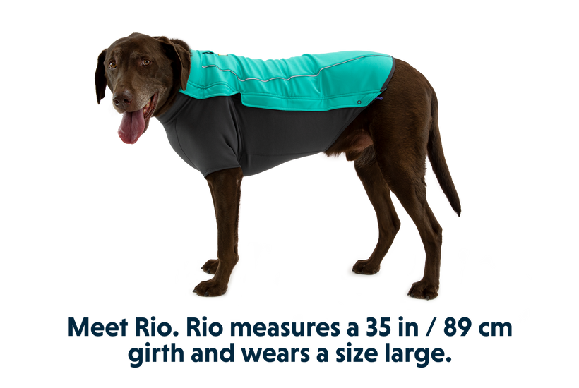 ⚡ Ruffwear Cloud Chaser Jacket