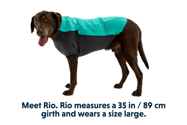 ⚡ Ruffwear Cloud Chaser Jacket