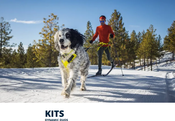 ✨ SALE ✨  Ruffwear Crag Collar