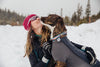 ✨ SALE ✨  Ruffwear Crag Collar
