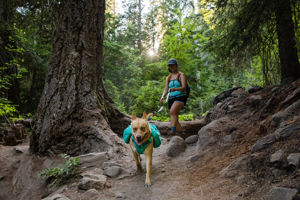 ⚡ Ruffwear Crag Leash