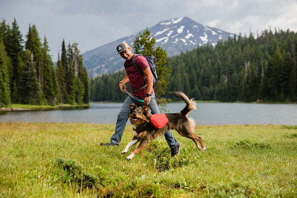 ⚡ Ruffwear Crag Leash