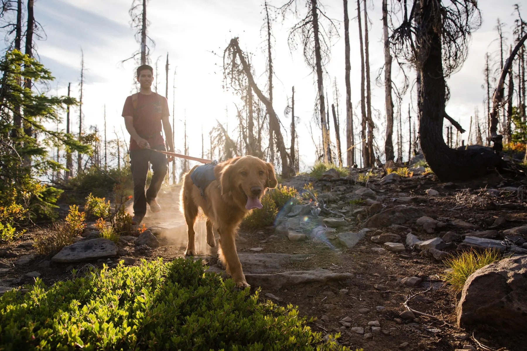 ⚡ Ruffwear Crag Leash