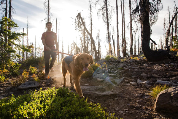 ⚡ Ruffwear Crag Leash