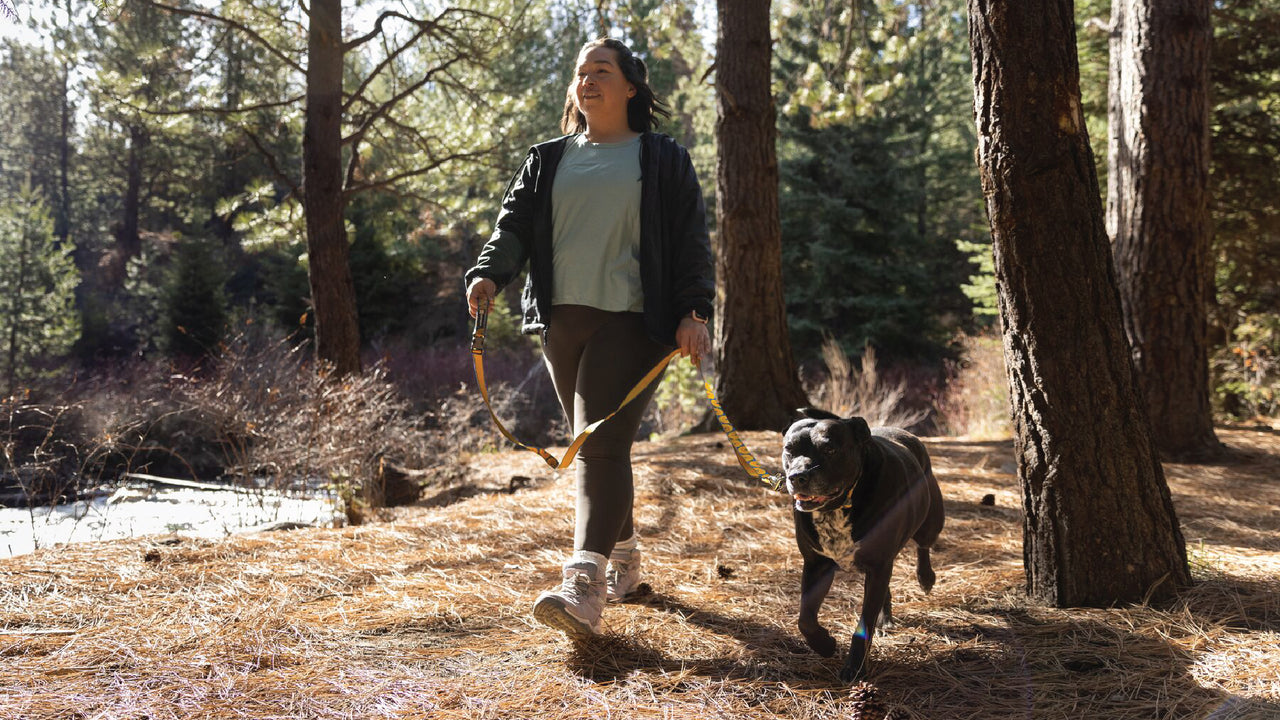 ⚡ Ruffwear Crag Leash