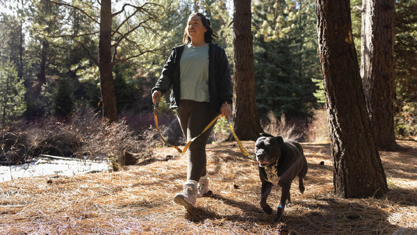 ⚡ Ruffwear Crag Leash