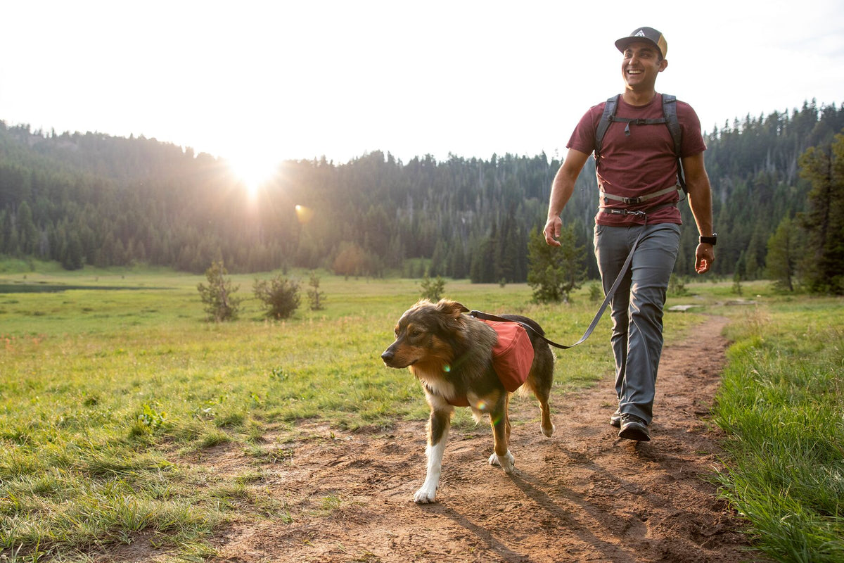 ⚡ Ruffwear Switchbak Dog Leash