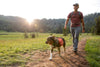 ⚡ Ruffwear Switchbak Dog Leash