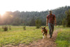 ⚡ Ruffwear Switchbak Dog Leash