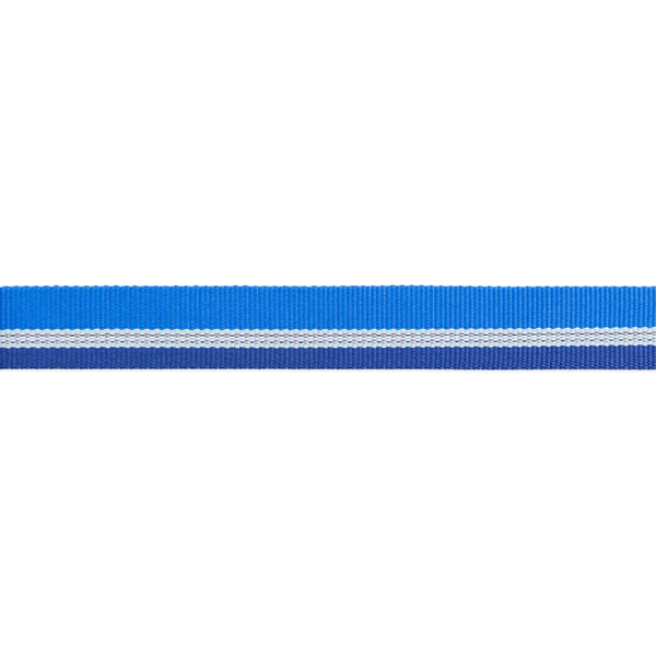 ⚡ Ruffwear Chain Reaction Dog Collar