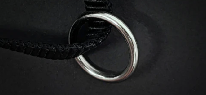 ⚡️ EzyDog Express Harness