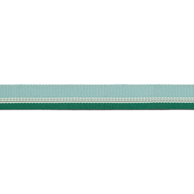 ⚡ Ruffwear Chain Reaction Dog Collar