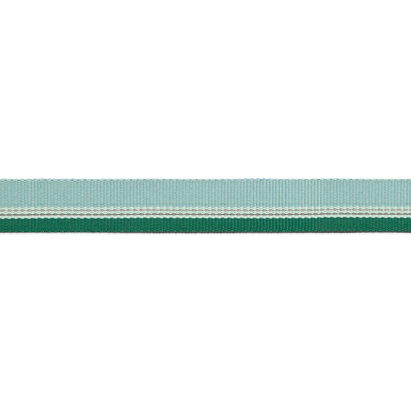 ⚡ Ruffwear Chain Reaction Dog Collar