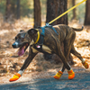 Ruffwear Dog Boots Summit Trex ⚡  (2 Boots)