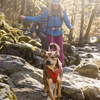 ⚡ Ruffwear Hitch Hiker Dog Leash