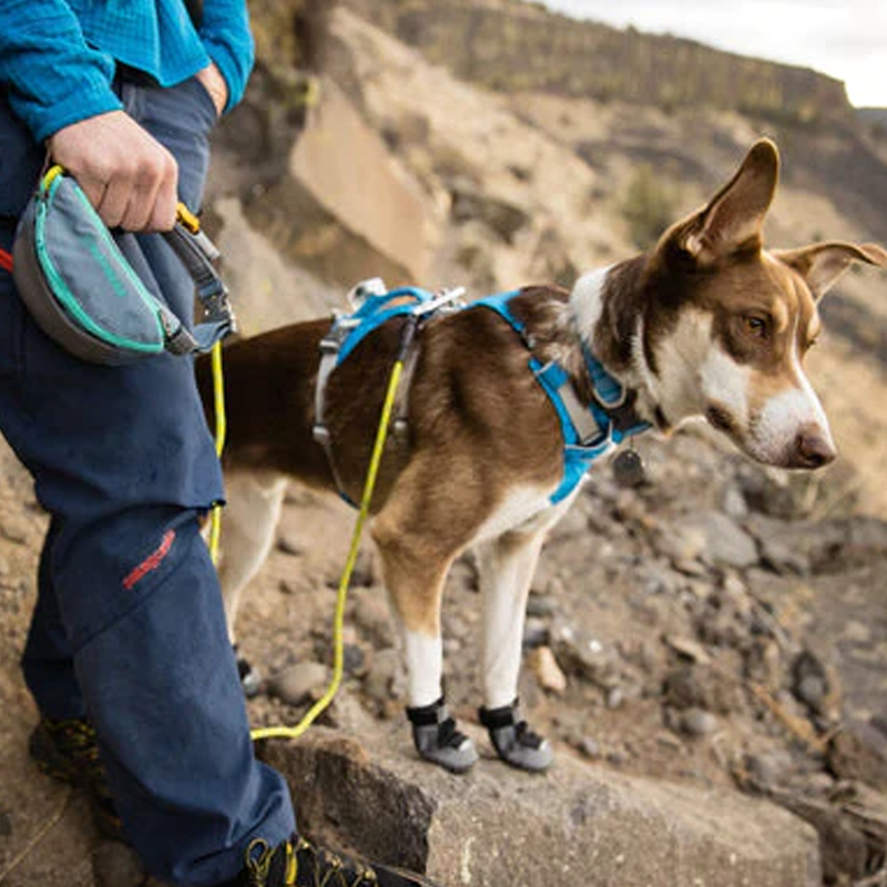 ⚡ Ruffwear Hitch Hiker Dog Leash