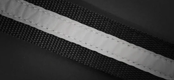 ⚡️ EzyDog Express Harness