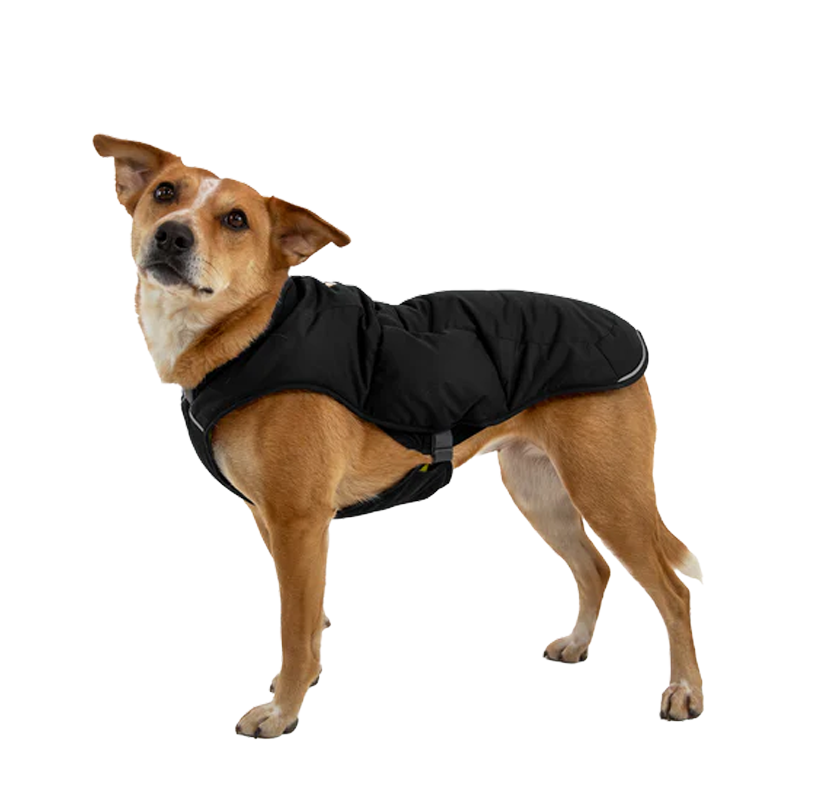 ⚡ Ruffwear Quinzee Dog Coat