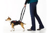 Help'em Up Walking Handle
