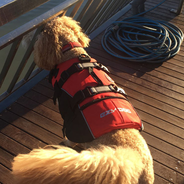 EzyDog Standard Dog Floatation Vest