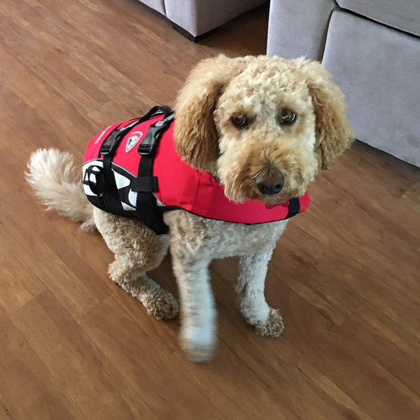 EzyDog Standard Dog Floatation Vest