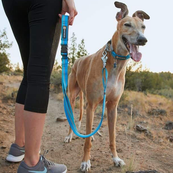 Ruffwear Web Reaction Collar