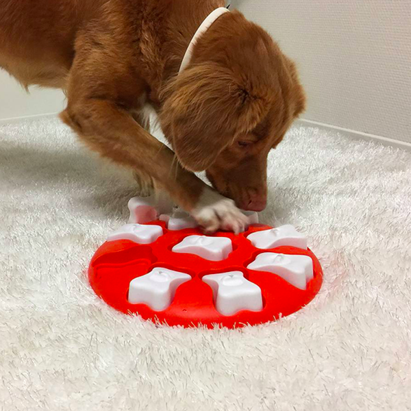 Nina Ottosson Dog Smart Orange