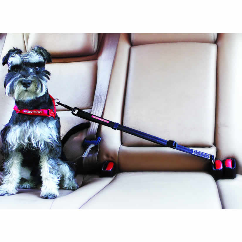 Ezydog Click Adjustable Car Restraint