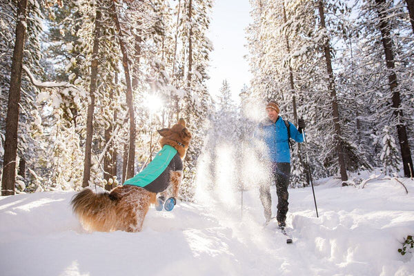 Ruffwear Cloud Chaser Soft Shell Jacket
