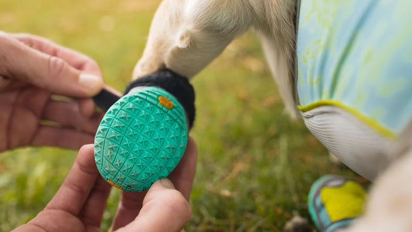 Ruffwear Dog Boots Grip Trex  (2 Boots)